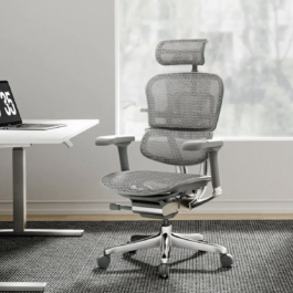 .Ergo Human Office Chair with Head Rest
