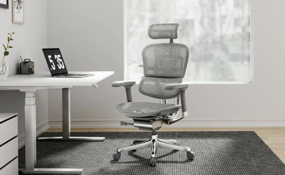 .Ergo Human Office Chair with Head Rest
