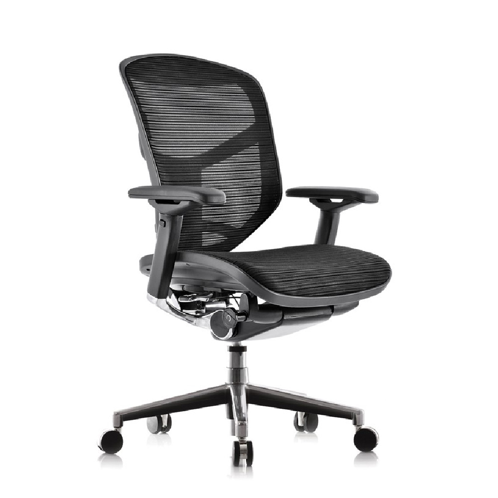 Enjoy Ergonomic Mesh Office Chair