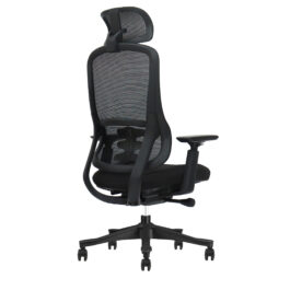 AAS3 Ergonomic Chair